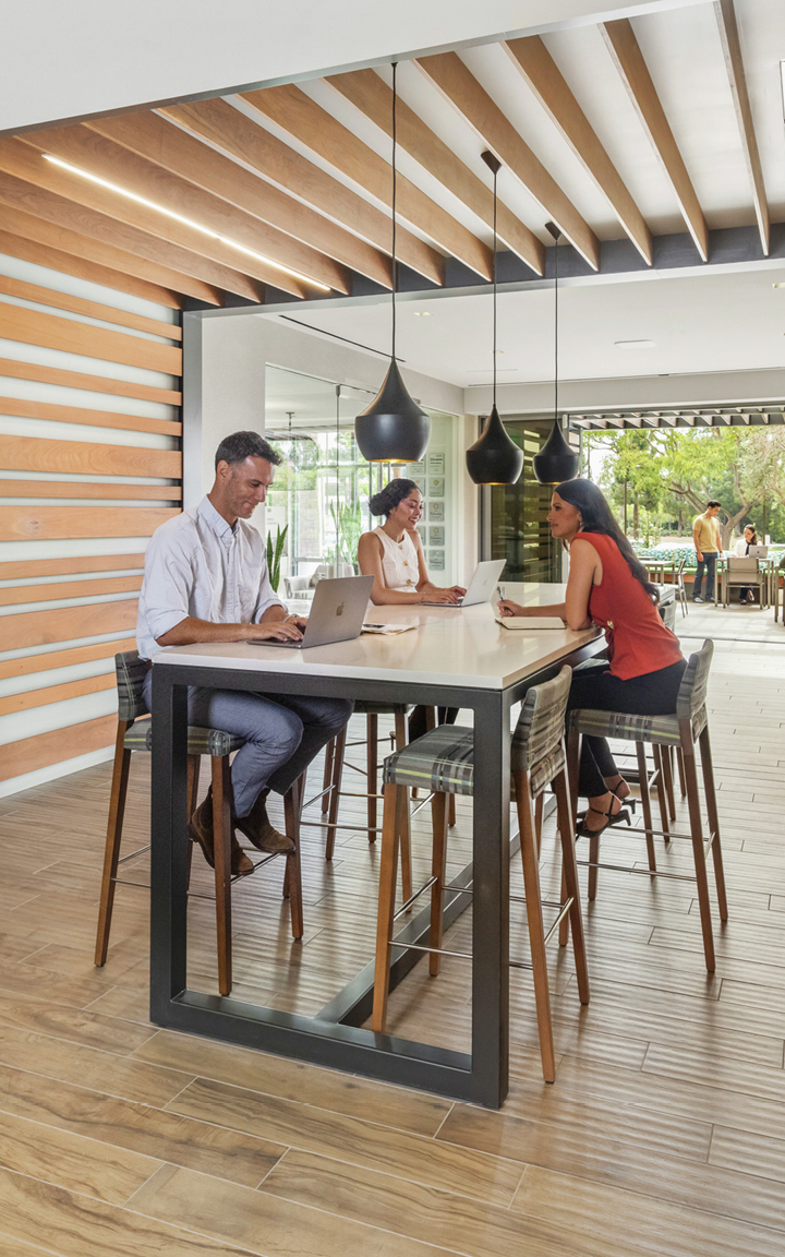 Cafe and Lounge Areas