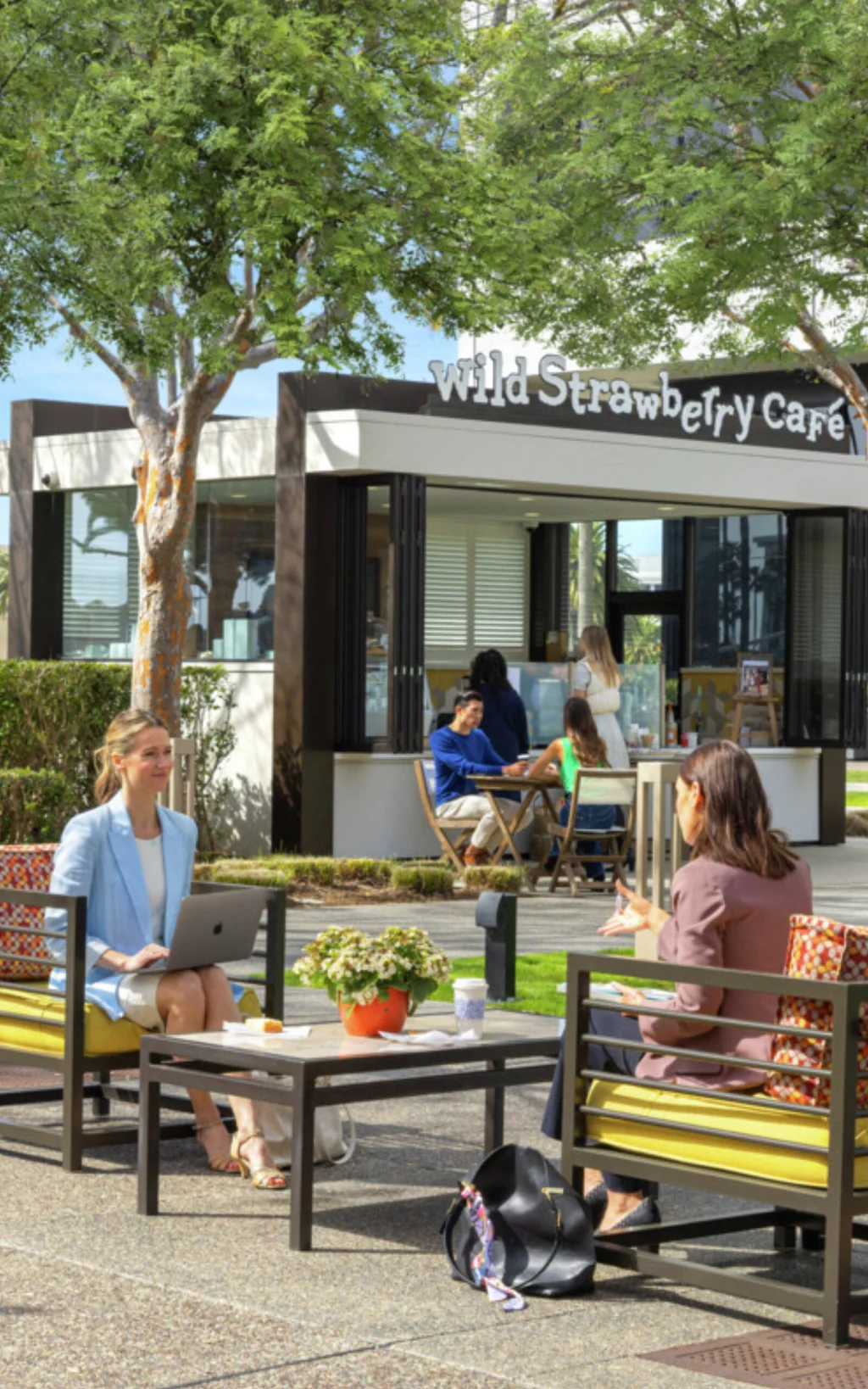 Access to Dining